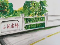 小小家乡代言人