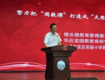 墩头镇举办“国数教育”特色育人品牌交流活动